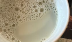 芝麻豆浆图片大全,营养早餐新选择